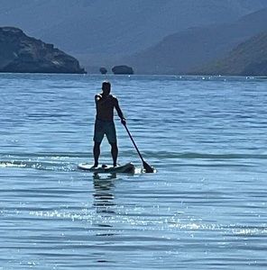 Meet your Posher, Guy